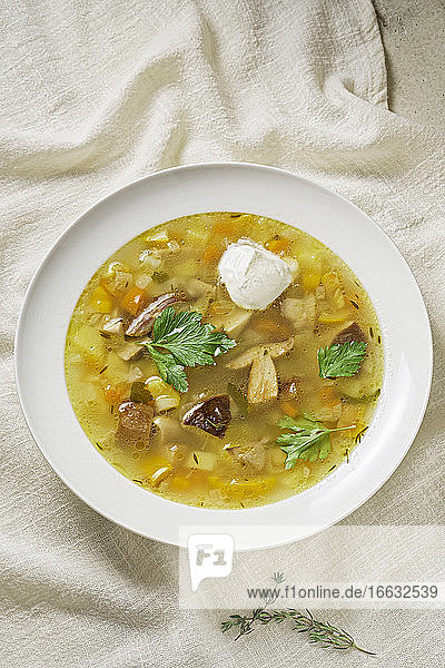 Porcini mushroom soup with sour cream (Russia)