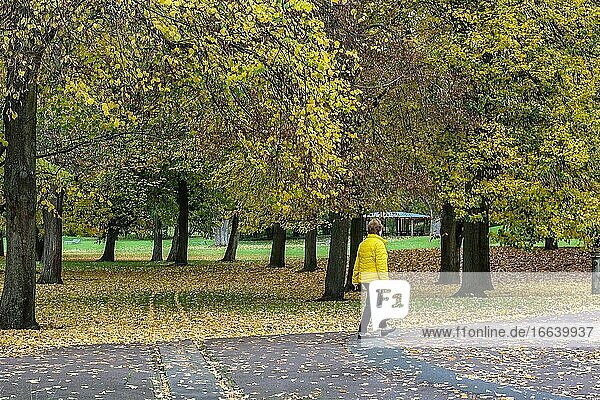 Herbst in der Natur mit bunten Blättern.