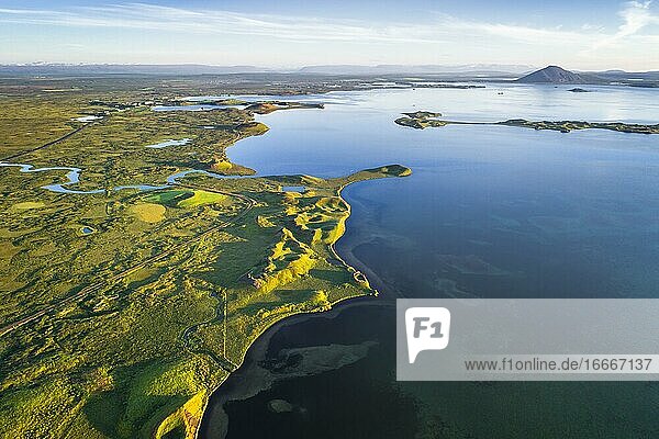 Aerial view of coast with green pseudo-craters  volcanic craters  in volcanic landscape at Lake Mývatn  Skútustaðir  Norðurland eystra  Iceland  Europe