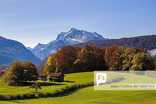 Herbstlandschaft  hinten das Gebirge Hochkalter  Berchtesgadener Alpen  Bischofswiesen  Berchtesgadener Land  Oberbayern  Bayern  Deutschland  Europa