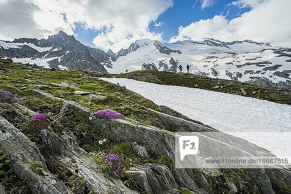 Wanderer vor schneebedeckten Berge  hochalpine Landschaft mit Gletscher Furtschaglkees  Berliner Höhenweg  Zillertaler Alpen  Zillertal  Tirol  Österreich  Europa