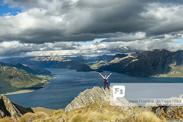 Hiker stands on a rock and stretches her arms in the air  view over Lake Hawea  lake and mountain landscape in the evening light  view from Isthmus Peak  Wanaka  Otago  South Island  New Zealand  Oceania