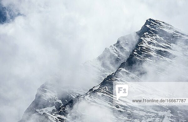 Großer Mörchner  schneebedeckte Berge im Nebel  Hochalpine Landschaft  Berliner Höhenweg  Zillertaler Alpen  Zillertal  Tirol  Österreich  Europa