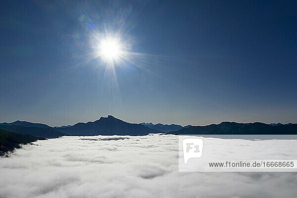 Schafberg und Drachenwand ragen aus dem Nebelmeer  Inversionswetterlage  Drohnenaufnahme  Luftaufnahme  Mondsee  Mondseeland  Salzkammergut  Oberösterreich  Österreich  Europa