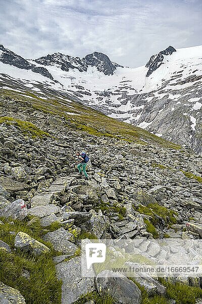 Wanderin auf Wanderweg  Gletscher Floitenkees und Berggipfel Floitenspitzen  Berliner Höhenweg  Zillertaler Alpen  Zillertal  Tirol  Österreich  Europa