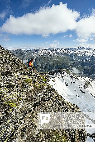 Wanderin auf dem Schönbichler Horn  hinten Gipfel des Ochsner  Berliner Höhenweg  Zillertaler Alpen  Zillertal  Tirol  Österreich  Europa