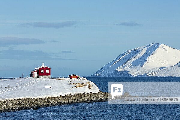 Einsames rotes Haus am Akureyrifjord  Island  Europa