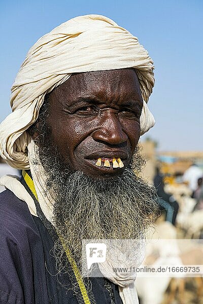 Tuareg at the animal market Unesco world heritage sight Agadez Niger Africa