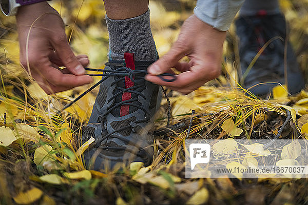 Tiefschnitt einer Frau beim Binden von Schnürsenkeln im Wald im Herbst
