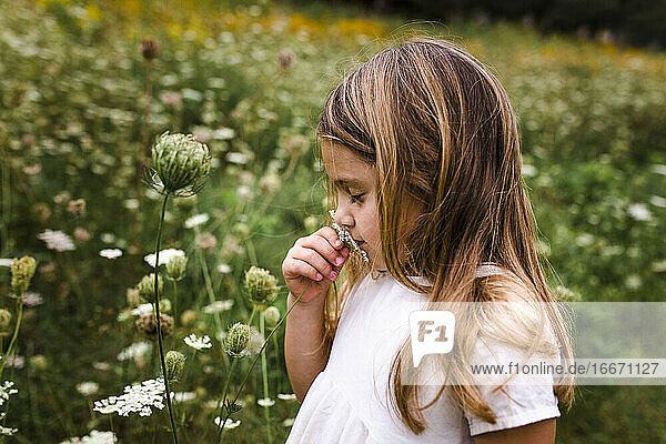 Mädchen riecht an Blumen im Feld