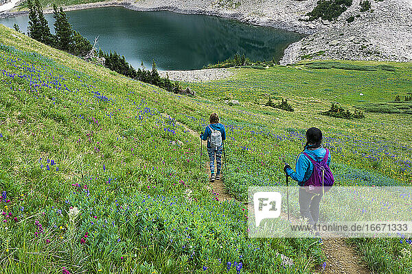 Rear view of young female friends hiking on mountain