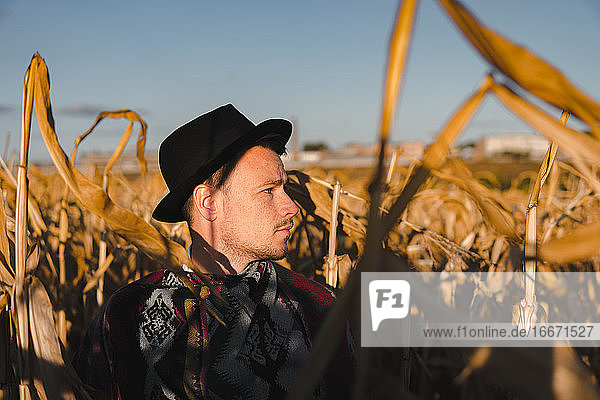 Männliche Person mit Hut in einem Maisfeld  ländliche Szene