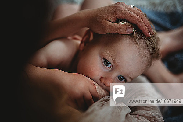 Close up of beautiful boy breastfeeding at home mom's hand on head