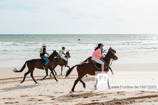 Andalusische Pferde beim Rennen am Strand in Südspanien