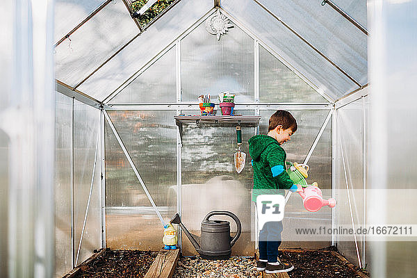 Young boy holding watering cans in backyard greenhouse in springtime