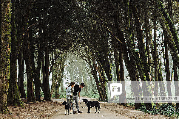 Couple with two dogs on a leash on a road through the misty woods