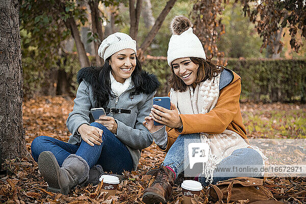 Zwei alte Freundinnen schauen gemeinsam auf den Smartphone-Bildschirm. Nahaufnahme von Zwei alte Freundinnen und der Park Hintergrund im Herbst.