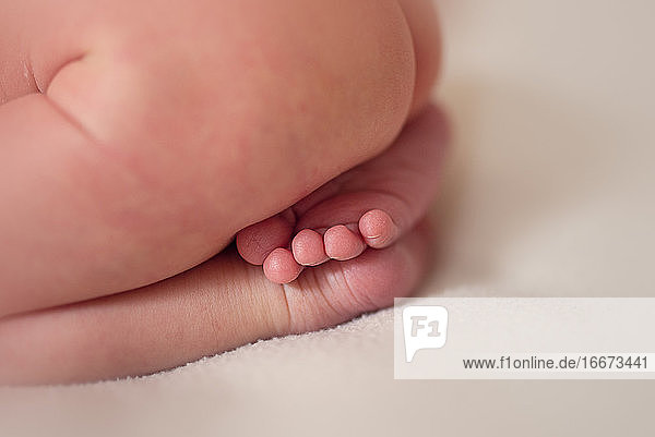 Detail von neugeborenen Zehen und kleinen Füßen