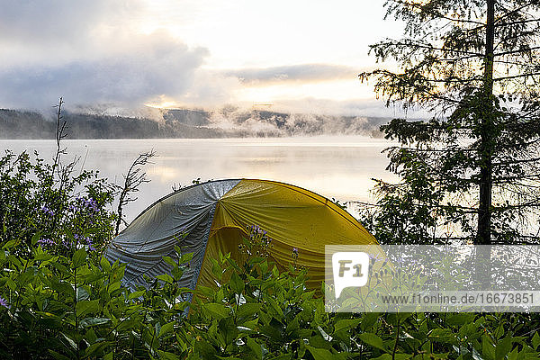Camping Zelt in der Nähe von Bäumen am Ufer des Sees während des Sonnenaufgangs auf dem Lande