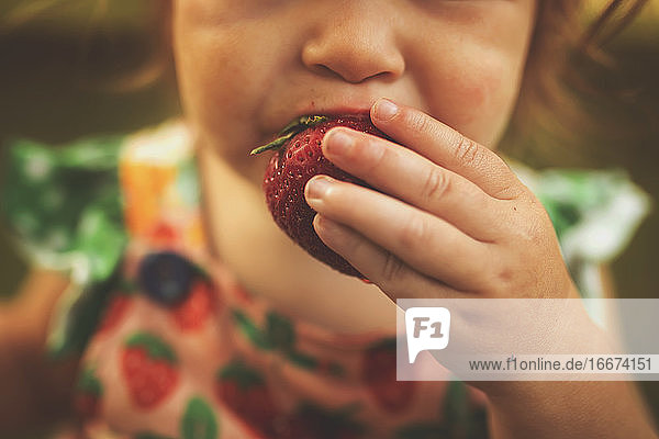 Mädchen isst Erdbeeren im Sommer