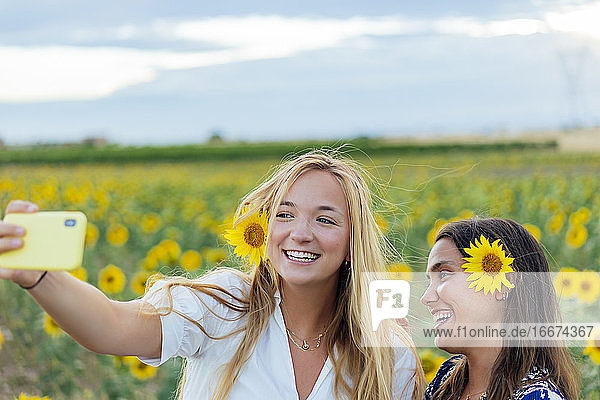 Ein paar attraktive junge Frauen  eine blond und die andere brünett  posieren in ihren Designerkleidern in einem Sonnenblumenfeld und benutzen dabei ihr Smartphone