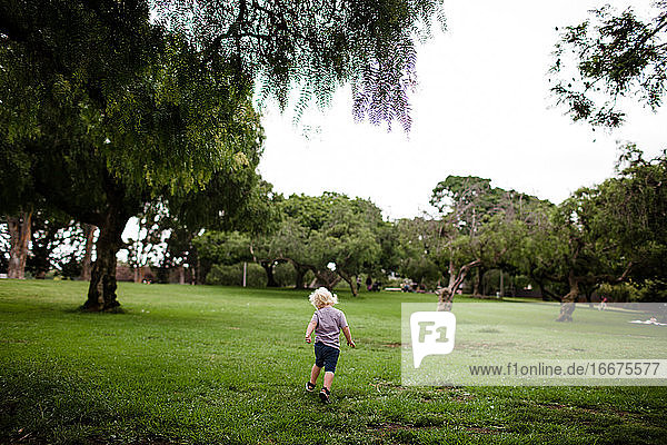Two Year Old Running Through Park with Back to Camera