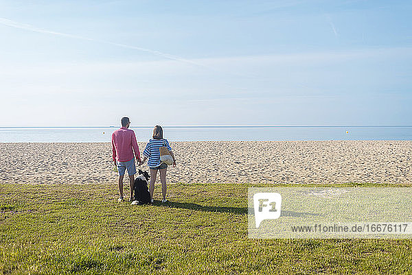 Rückansicht eines Paares  das am Strand in der Nähe seines Hundes steht und die Hände hält