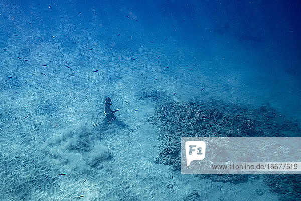 Free diver sits on ocean floor in clear waters of Hawaii