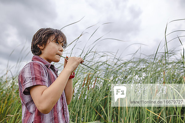 Ein Junge steht an einem bewölkten Tag im hohen Gras und bläst in ein hohles Schilfrohr