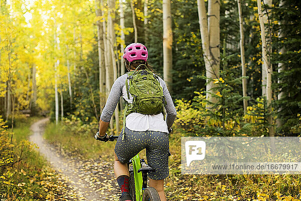 Rear view of young woman mountain biking in forest during autumn