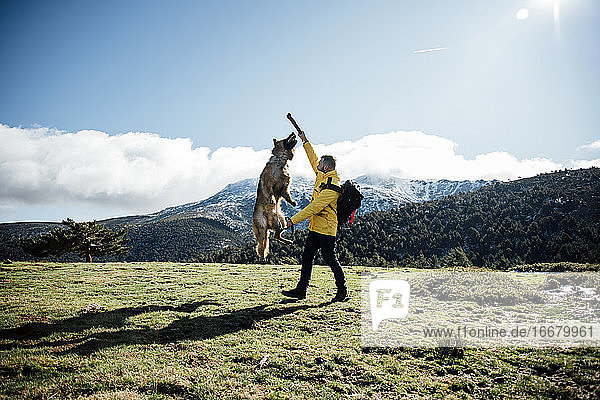Junger Mann mit gelber Jacke und Rucksack spielt mit deutschem Schäferhund in den Bergen.