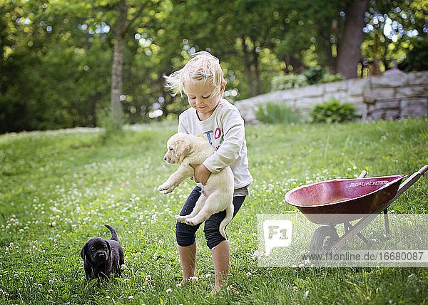 Kleines Mädchen spielt mit Lab-Welpen im Hof