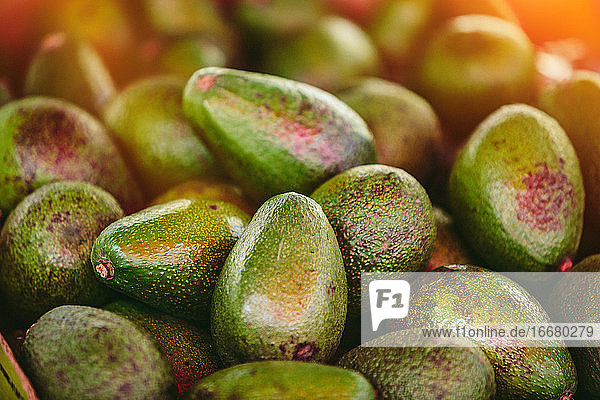 Reife Avocados auf dem Bauernmarkt