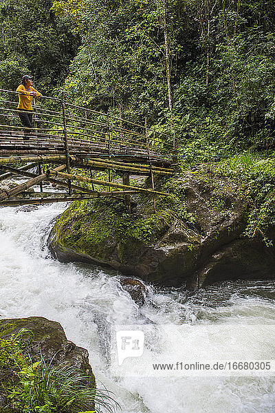 Frau beim Wandern über eine Bambusbrücke im Regenwald in Mindo  Ecuador