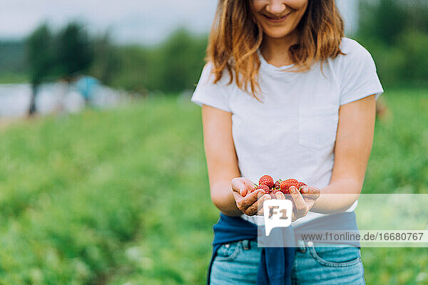 Frau hält reife rote Erdbeeren auf einer U-Pick-Farm in Washington