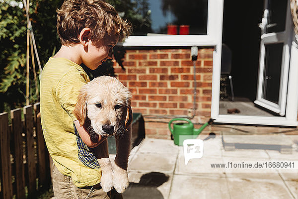 Boy holding golden retriever labrador puppy in yard