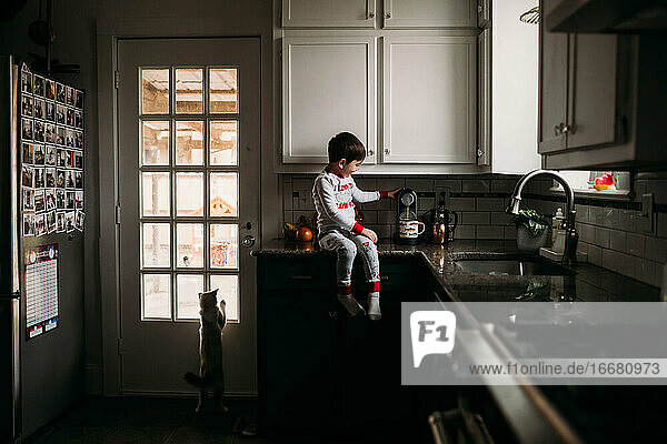 Young boy sitting on counter making coffee with cat looking out window