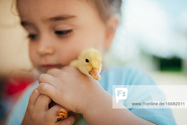 Kleines Mädchen hält ein Entenbaby.