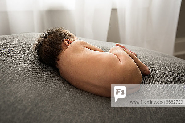 Rückansicht eines Neugeborenen mit vielen Haaren  das gelockt auf einer grauen Decke schläft