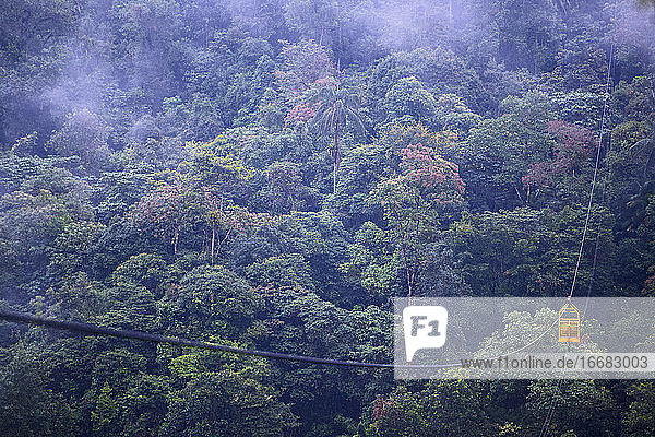 Seilbahn im Regenwald in Mindo  in der Nähe des Äquators  Ecuador