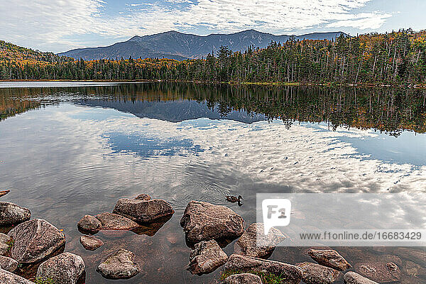 Fall foliage reflections in calm lake in the White Mountains of NH.