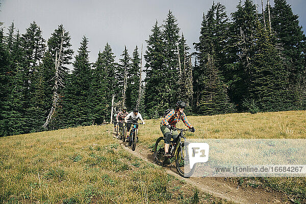 Four bikers ride through a meadow at Mt. Hood  Oregon