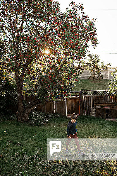 Young boy walking in backyard in the summer