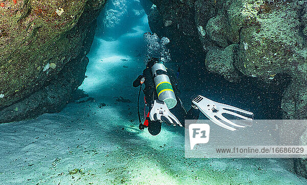 Taucher bei der Erkundung einer Höhle am Great Barrier Reef