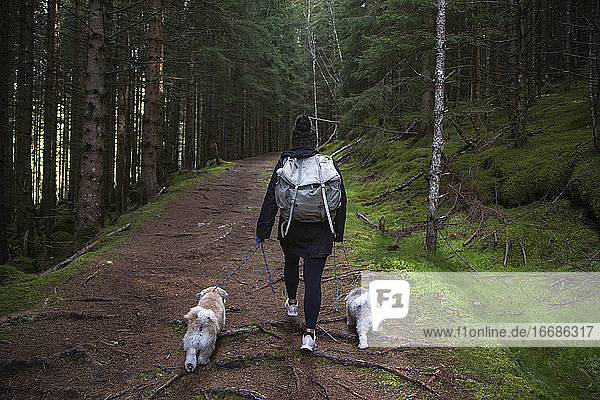 Ein Mädchen geht mit ihren beiden Hunden auf einem Waldweg spazieren