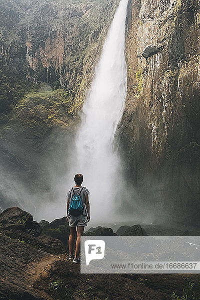 Rückansicht einer jungen Frau  die in einem Wald stehend einen Wasserfall betrachtet  Queensland  Australien.