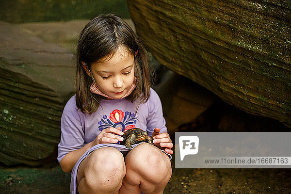 Ein kleines Mädchen schaut zärtlich auf eine kleine bemalte Schildkröte in ihrem Schoß hinunter