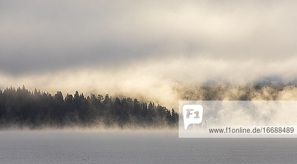 Dichter Nebel über ruhigem See und baumbestandenem Ufer bei Sonnenaufgang