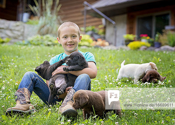 Young Boy With Lab Puppies in Yard