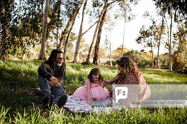 Aunt  uncle and niece having picnic in field